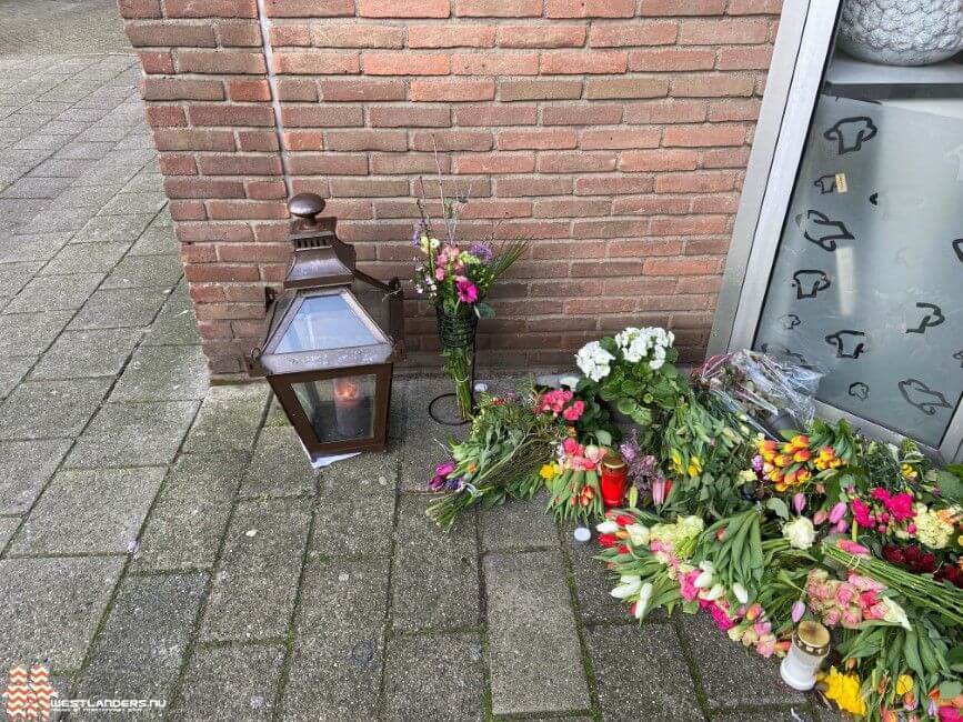 Voorarrest verdachten fatale steekpartij Houtwijk verlengd