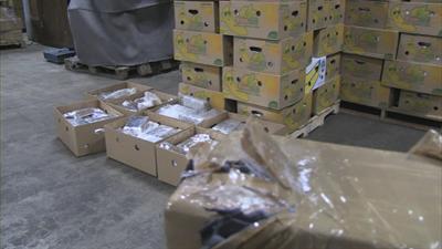 Ex-medewerker fruitbedrijf aangehouden voor cocaïnesmokkel