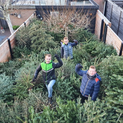 Flinke kerstbomen inzameling in Naaldwijk