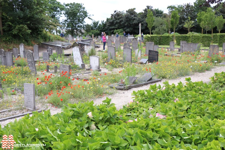 Druk op begraafplaats Beukenhage na bericht over vandalisme