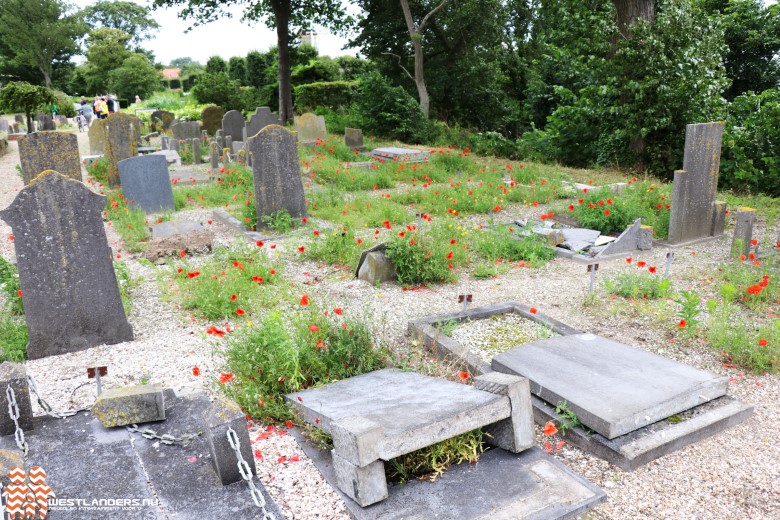 Ruim honderd graven vernield bij Beukenhage