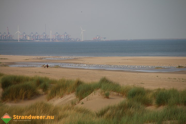 Westlandse stranden schoonste van Zuid-Holland