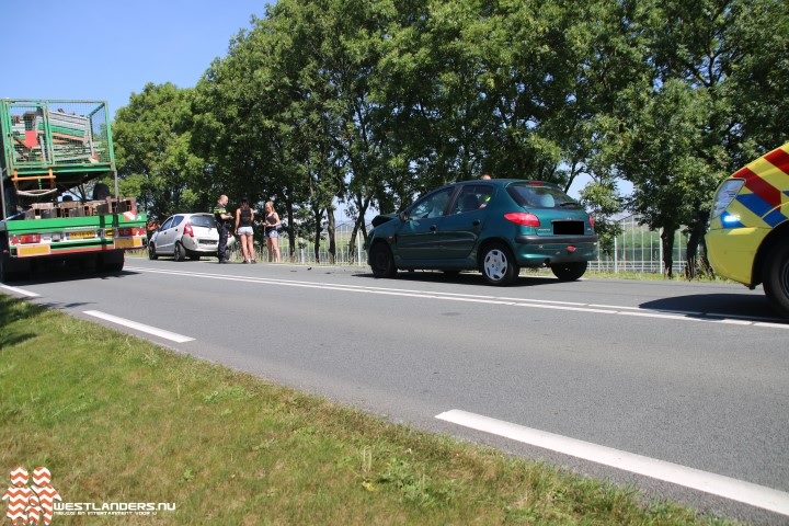 Automobiliste gewond na ongeluk Maasdijk